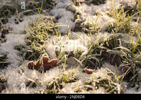 Weiße zerklüftete kristalline Ablagerungen von gefrorenem Wasserdampf, die sich bei klarem Stillwetter bei Temperaturen unter Null C bilden und zu Reifrost führen Stockfoto