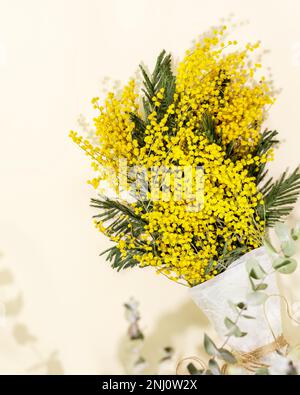 Bouquet mit Mimosaästen auf hellem Hintergrund. Umweltfreundliche Urlaubskarte mit Mimosenblumen. Floristischer Frühlingshintergrund für Mütter da Stockfoto