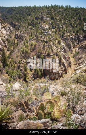 Schroffer Aussichtspunkt am Walnut Canyon National Monument Stockfoto