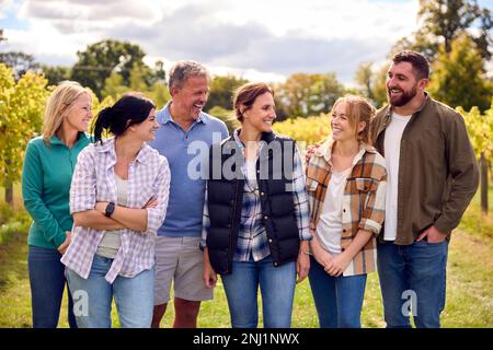 Porträt Des Teams Der Graper Pickers Bei Der Ernte, Die In Vineyard Arbeitet Und Wein Produziert Stockfoto
