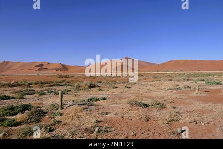 Erkundung der Namib-Wüste in Afrika mit Trailfindern Stockfoto