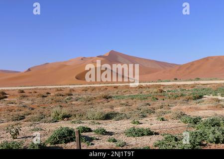 Erkundung der Namib-Wüste in Afrika mit Trailfindern Stockfoto