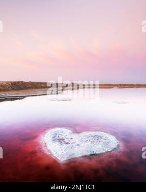 Herz aus Salz in rosa Wasser Salzsee in der Ukraine, Europa. Kreatives Konzept Stockfoto