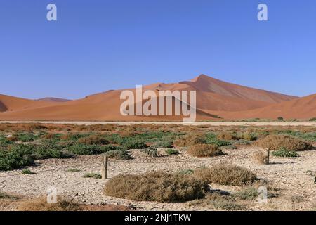 Erkundung der Namib-Wüste in Afrika mit Trailfindern Stockfoto