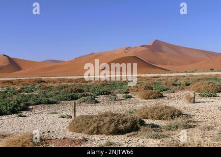 Erkundung der Namib-Wüste in Afrika mit Trailfindern Stockfoto