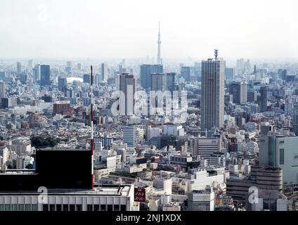 Tokio, Japan - September 2017: Panoramablick auf die moderne Skyline der Stadt und Blick auf skytree Stockfoto