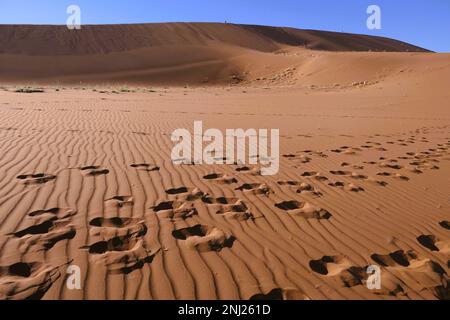 Erkundung der Namib-Wüste in Afrika mit Trailfindern Stockfoto