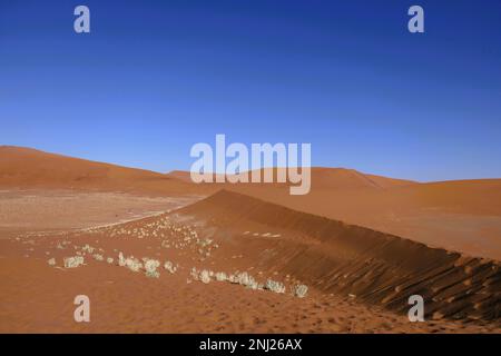 Erkundung der Namib-Wüste in Afrika mit Trailfindern Stockfoto