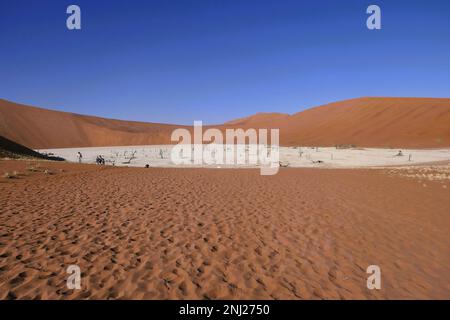 Erkundung der Namib-Wüste in Afrika mit Trailfindern Stockfoto