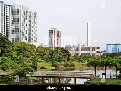 Tokio, Japan - September 2017: Moderne Wolkenkratzer, Architektur und Teich-Reflexion aus den Hamarikyu-Gärten Stockfoto