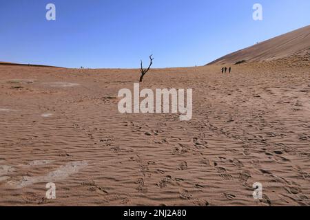 Erkundung der Namib-Wüste in Namibia mit G Adventures Stockfoto