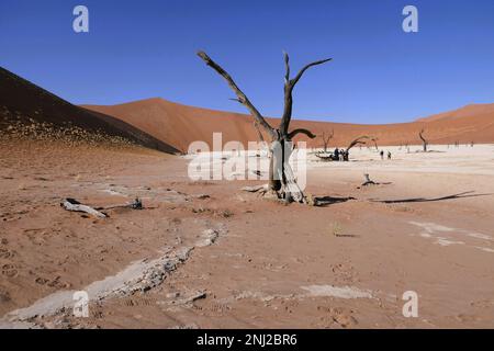 Erkundung der Namib-Wüste in Namibia mit G Adventures Stockfoto