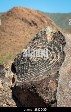 Saguaro Nationalpark in Arizona, USA Stockfoto