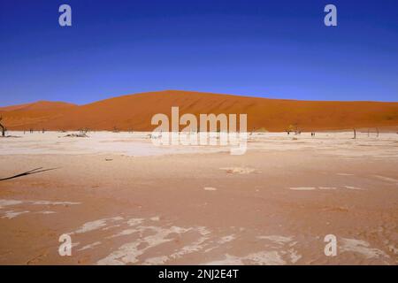 Erkundung der Namib-Wüste in Namibia mit G Adventures Stockfoto