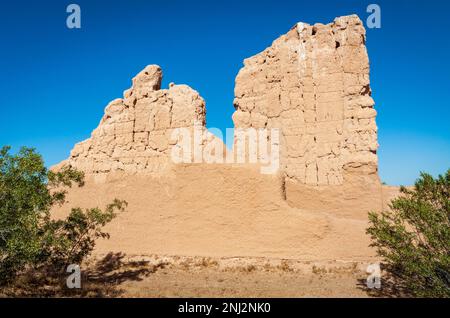 Aus einem niedrigen Winkel erheben sich zwei gezackte Erdwandreste über einem erodierten Hügel, eingerahmt von grünen Sträuchern am Casa Grande Ruins National Monument in Arizona. Stockfoto