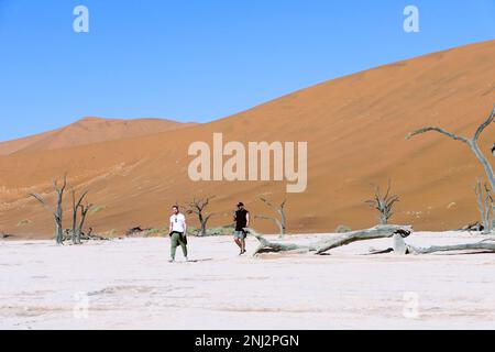 Deadvlei maßgeschneiderte Reisen in Afrika Stockfoto