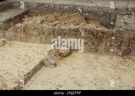 Peking, China. 22. Februar 2023. Dieses Aktenfoto zeigt einen versteinerten Schädel, der von einem Standort aus der Paläolithik in Shiyan, der zentralchinesischen Provinz Hubei, ausgegraben wurde. Sechs historische Stätten, die frühestens bis in die paläolithische Zeit zurückreichen, wurden in einem Forum am Mittwoch als Chinas neue archäologische Entdeckungen von 2022 aufgeführt. Kredit: Xinhua/Alamy Live News Stockfoto