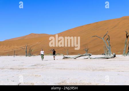 Deadvlei maßgeschneiderte Reisen in Afrika Stockfoto