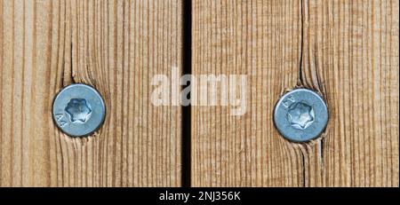 Selbstschneidende Holzschrauben aus Edelstahl in einer Wand aus natürlichen Lärchenplanken. Nahaufnahme der gespaltenen Holzstruktur von Brettern. Metallbefestigung mit Torx-Kopf. Stockfoto