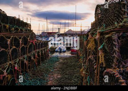 Blick durch Hummertöpfe in Richtung Arbroath Harbour in der Dämmerung. Stockfoto