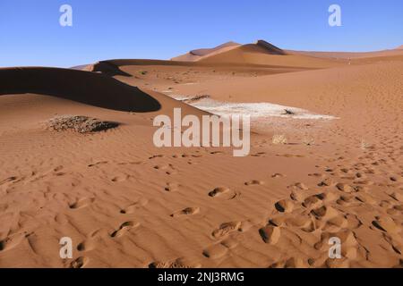 Maßgeschneiderte Reisen in Afrika Stockfoto