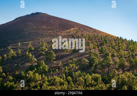 Sunset Crater Nationalmonument Stockfoto