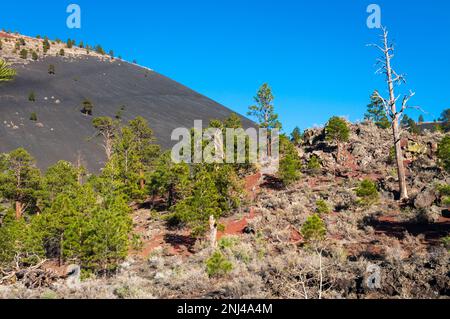 Sunset Crater National Monument, Arizona Stockfoto