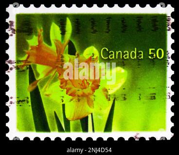 MOSKAU, RUSSLAND - 15. FEBRUAR 2023: Auf dem in Kanada gedruckten Poststempel sind gelbe Narzissen, Serie, ca. 2005 Stockfoto