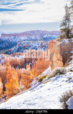 Der Bryce Canyon ist mit frisch gefallenem Schnee und fernen Bergen und leuchtend farbigen orangefarbenen Klippen geschmückt. Stockfoto