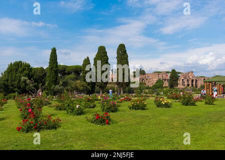 Rom (Italien) - die touristischen städtischen Rosen auf dem Aventino-Hügel im Zentrum von Rom; im Frühling und Sommer geöffnet, beherbergt sie viele Rosenarten Stockfoto