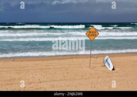 503 Manly Beach aufgrund schlechter Meeresbedingungen geschlossen - gelber Schild und weißes Rettungsschwimmbrett. Sydney-Australien. Stockfoto