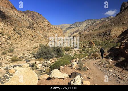 Walkers im Dana Biosphere Reserve, Wadi Dana, Süd-Zentral-Jordanien, Naher Osten. Jordaniens größtes Naturschutzgebiet Stockfoto