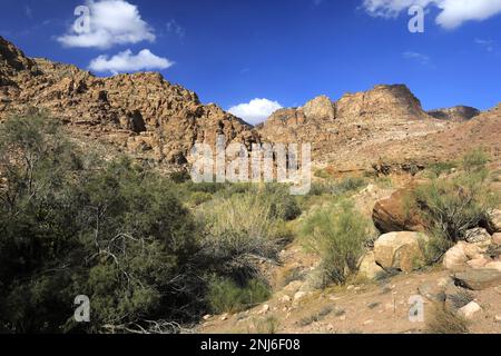 Blick durch das Dana Biosphärenreservat, Wadi Dana, Süd-Zentrum Jordanien, Naher Osten. Jordaniens größtes Naturschutzgebiet Stockfoto