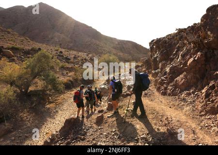 Walkers im Dana Biosphere Reserve, Wadi Dana, Süd-Zentral-Jordanien, Naher Osten. Jordaniens größtes Naturschutzgebiet Stockfoto