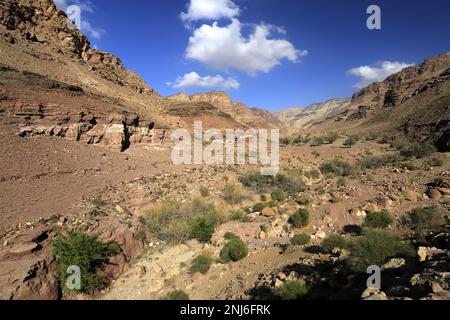 Blick durch das Dana Biosphärenreservat, Wadi Dana, Süd-Zentrum Jordanien, Naher Osten. Jordaniens größtes Naturschutzgebiet Stockfoto