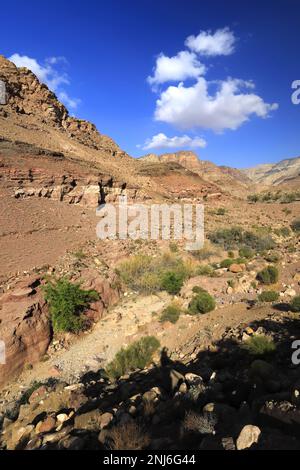 Blick durch das Dana Biosphärenreservat, Wadi Dana, Süd-Zentrum Jordanien, Naher Osten. Jordaniens größtes Naturschutzgebiet Stockfoto