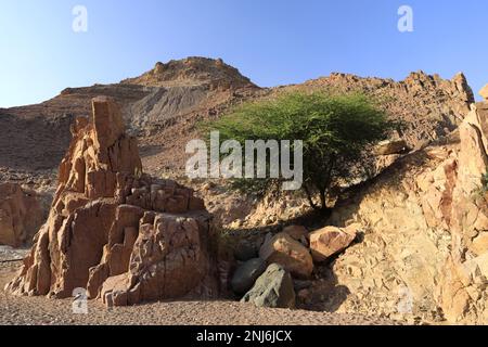 Blick durch das Dana Biosphärenreservat, Wadi Dana, Süd-Zentrum Jordanien, Naher Osten. Jordaniens größtes Naturschutzgebiet Stockfoto