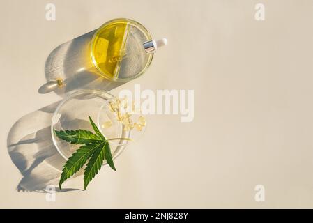 Cannabisblätter, CBD-Öl in Pipetten und Kapseln auf Laborhintergrund Glaslaborgläser, Hanfblätter und Cannabidiol in Form von Öl Stockfoto