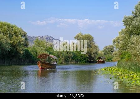 Touristenboote in der Nähe von Virpazar auf dem Crmnica Fluss, der in Skadar See, Skadarsko Jezero Nationalpark, Crmnica Region, Bar, Montenegro fließt Stockfoto