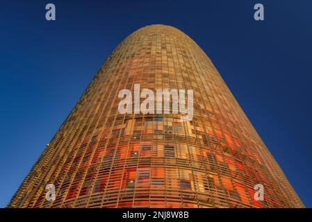 Torre Glòries (ehemals Agbar) bei Sonnenuntergang, vom Plaza de les Glòries (Barcelona, Katalonien, Spanien) aus gesehen ESP: Torre Glòries (antes Agbar) BCN Stockfoto