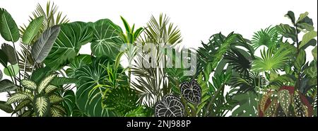 Hauspflanzen und tropische Blätter Vektorgrenzen. Stock Vektor