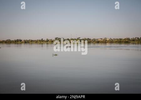 Niamey, Niger. 21. Januar 2023. Flusspferde im Niger River in Niamey gesehen. Niger, ein westafrikanisches Binnenland mit etwa 25 Millionen Einwohnern, ist eines der ärmsten Länder der Welt. (Foto: Sally Hayden/SOPA Images/Sipa USA) Guthaben: SIPA USA/Alamy Live News Stockfoto