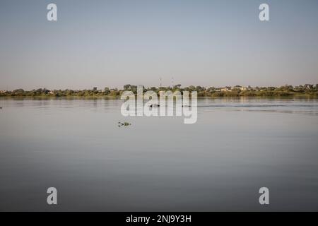 Niamey, Niger. 21. Januar 2023. Flusspferde im Niger River in Niamey gesehen. Niger, ein westafrikanisches Binnenland mit etwa 25 Millionen Einwohnern, ist eines der ärmsten Länder der Welt. (Kreditbild: © Sally Hayden/SOPA Images via ZUMA Press Wire) NUR REDAKTIONELLE VERWENDUNG! Nicht für den kommerziellen GEBRAUCH! Stockfoto