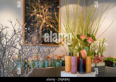 Dekorative Glasvasen mit Blumen. Flamingo-Blüten (Anthurium) im Vordergrund. Stockfoto