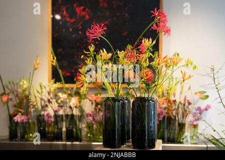 Dekorative Glasvasen mit Blumen. Flammenlilis (Gloriosa superba) im Vordergrund. Stockfoto