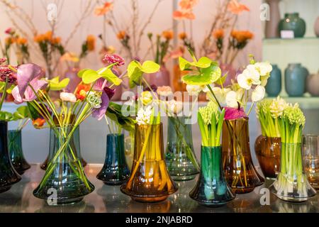 Dekorative Glasvasen mit Frühlingsblumen. Hyazinthen (Hyacinthus orientalis), Flamingo-Blüten (Anthurium) und Orchideen. Stockfoto