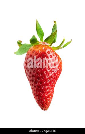 Eine einzelne Erdbeere, isoliert auf weißem Hintergrund Stockfoto