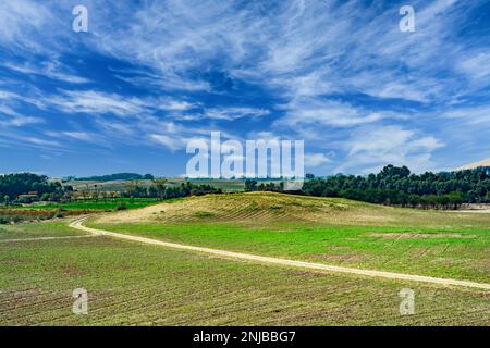 Eine Oase in der Thar Wüste Stockfoto