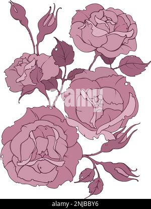 Zarter Strauß rosa Rosen, Zweig mit Blumen, Blättern und Knospen, Vektorbild für Mode, Textil, Stoff, Dekoration. Stock Vektor