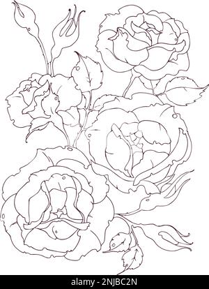 Zarter Blumenstrauß Rosen Stock Vektor